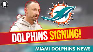 🚨Miami Dolphins Make A Signing | Dolphins News