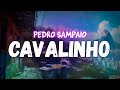 PEDRO SAMPAIO Gasparzinho CAVALINHO Letra mp3