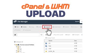 How To Upload Webpage To cPanel Hosting