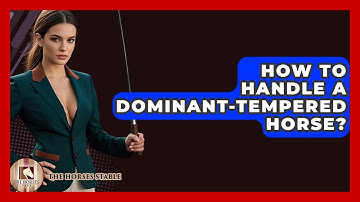 How To Handle A Dominant-tempered Horse? - The Horses Stable