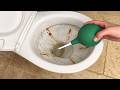 This Made My Toilet Look Brand New Again How To Clean Your Toilet 