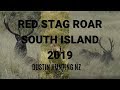 RED STAG ROAR SOUTH ISLAND NZ 2019