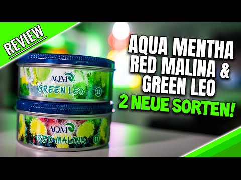 NEW AQUA MENTHA RED MALINA & GREEN LEO | Geisteskranke Limette..