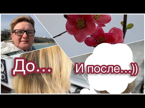 На пенсию в Болгарию/ Без приключений не живу… Получилось просто супер! Полезно смотреть объявления)