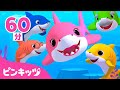 サメのかぞく3Dアニメ★人気曲メドレー | Baby Shark | Youtube再生回数1位のベイビーシャーク | 子供の歌 | ピンキッツ・ベイビーシャーク