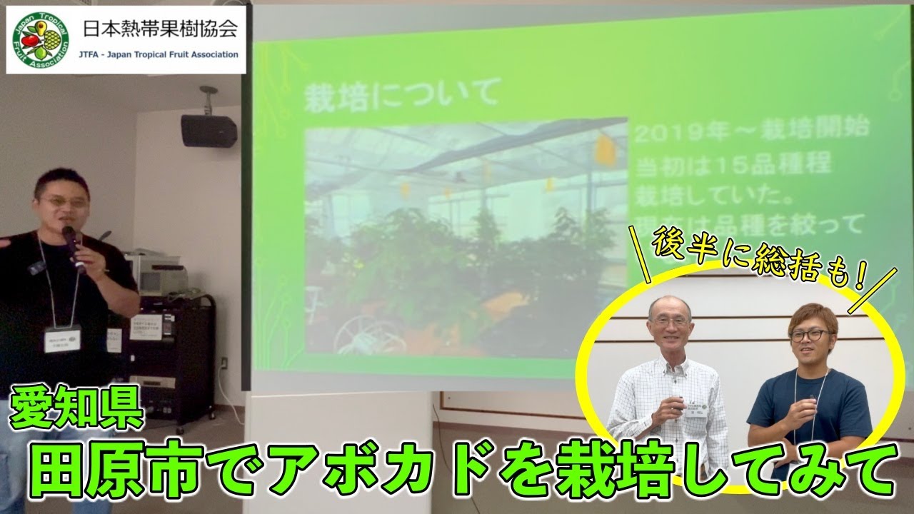 愛知県田原市でアボカドを栽培してみて【菊農家 千賀吉晃氏】