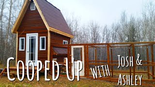 chicken lives in a coop 10