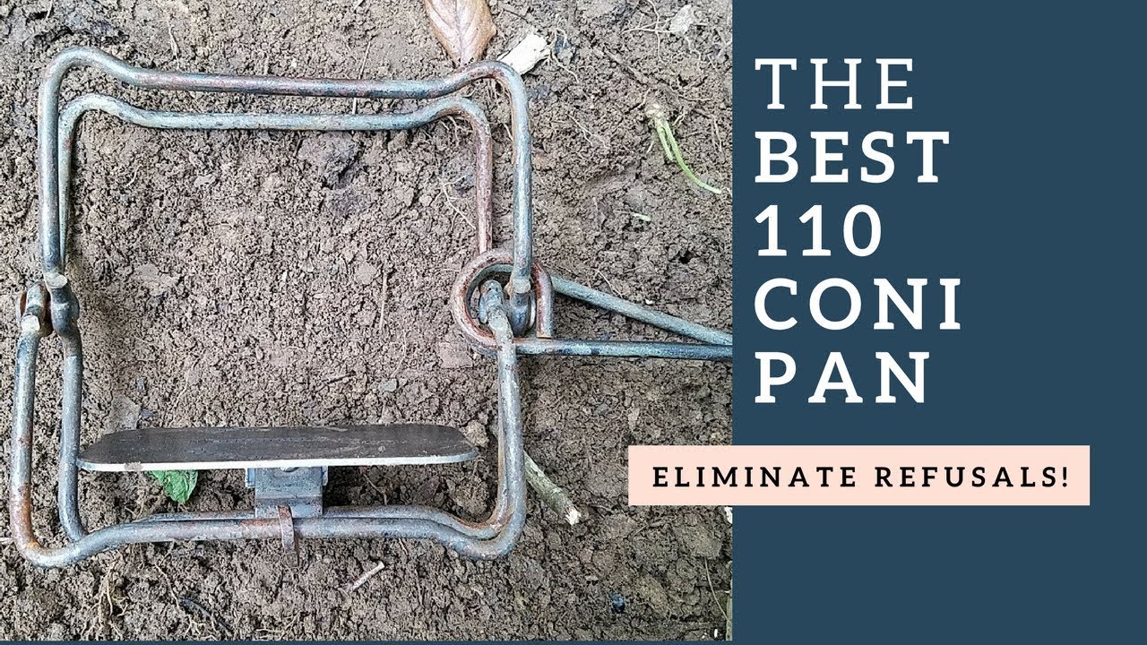 The Best 110 Conibear Coni Pan for Trapping and Survival - YouTube.