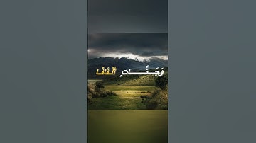 (إِنَّ يَوۡمَ ٱلۡفَصۡلِ كَانَ مِيقَٰتٗا) سورة النبا ايه 17 ياسر الدوسري#قرآن #ياسر_الدوسري