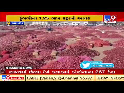 Rajkot: Bumper income from Onions in Gondal Marketyard | TV9Gujaratinews