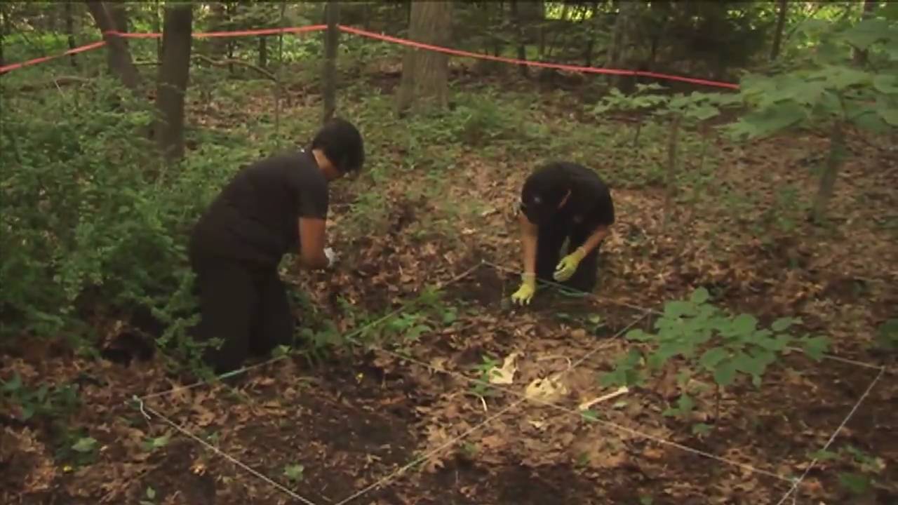 Tanya Peckmann: Forensic Anthropologist YouTube - 1280x720 - jpeg Body Farms In The United States