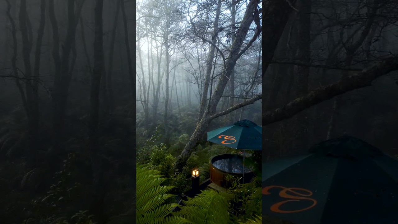 New Zealand's Forest Spa