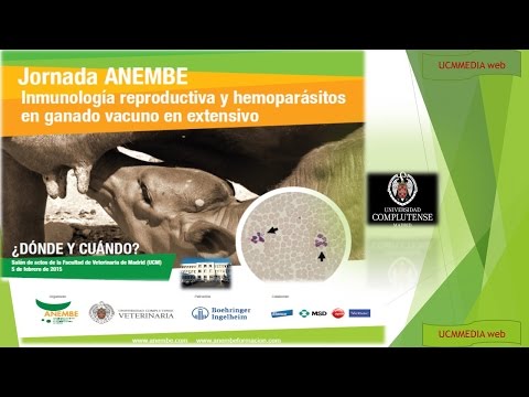 Jornada ANEMBE. Inmunología Reproductiva y Hemoparásitos en ganado Vacuno. Tarde