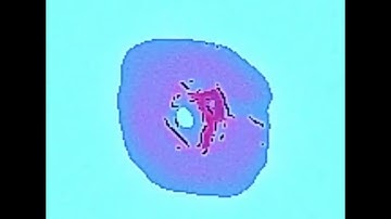 Extreme Enh  Look Closer2  From Bugs to Orbcraft #fredlmeemh #flmh #space #orb #energy #sky