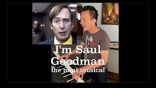 Miniatura del video "I'M SAUL GOODMAN, a Singing Meme, starring Bob Odenkirk. #bettercallsaul #piano #musical"