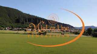 Le Miel Bio Responsable