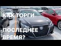 ЧТО СЕГОДНЯ НА АУКЦИОНЕ?