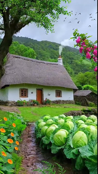enjoy with rural life #countryside