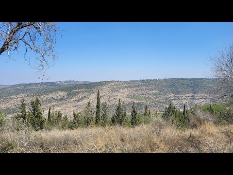 Tel Zora Samsonovo