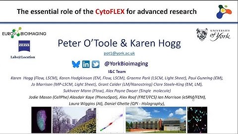 Innovation and Impact The CytoFLEX Platform in Action