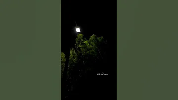 حبيبي بعد غيابه 