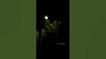 حبيبي بعد غيابه 