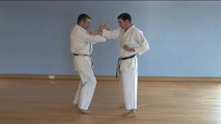 Introducing Goju Ryu (copyright Oxford Karate Academy) screenshot 1