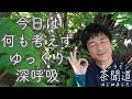 【今日は何も考えず、ゆっくり深呼吸】自分自身と向き合う「ひとり時間」。お茶を飲みながらゆっくりと心に耳を傾けませんか？