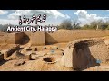 Harappa | 4500 years old city of Indus Valley Civilization