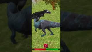 100/62 suchomimus vs tayranasaurus #edit #thecursedisle #suchomimus #trex