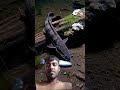 মাছের সট ভিডিও #fishing #birdfish #viral #trinding #shorts