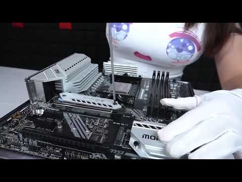 PC Building ASMR Waifu Edition - Yeston RX 6800 XT