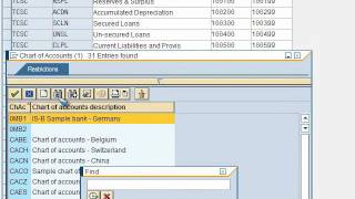 SAP FICO VIDEO TRAINING TUTORIALS 0007 DEFINE ACCOUNT GROUP ECC6 - BAYISETTI SAP FICO VIDEO TRAINING TUTORIALS 0007 DEFINE ACCOUNT GROUP ECC6 - BAYISETTI