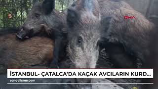 İstanbul - Çatalcada Kaçak Avcıların Kurduğu Domuz Tuzakları Bulundu