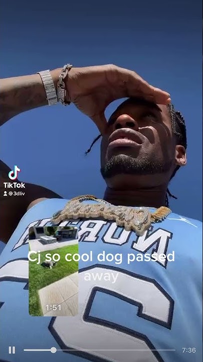 What Happened To Cj So Cool Dog Bruno Cj so cool dog passes away😢😭 - YouTube