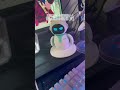 【レビュー】新しいロボットの友達が出来ました嬉しすぎる🤦♀️💗