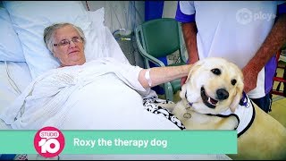 Meet The Therapy God Bringing Joy To Hospital Patients | Studio 10 Resimi