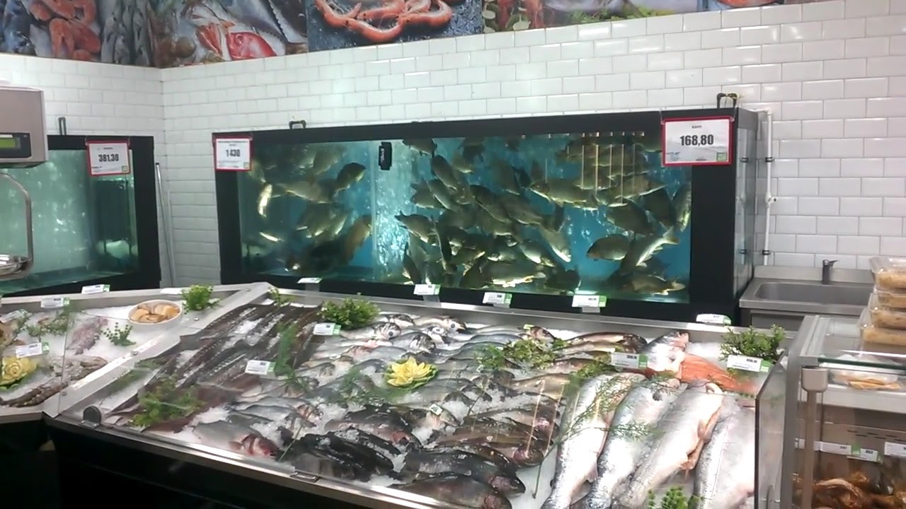 Живая Рыба В Самаре Где Купить
