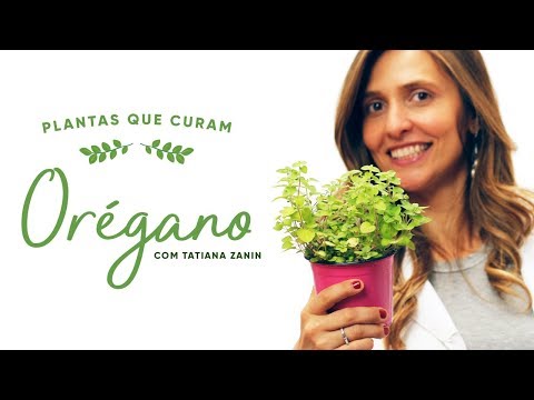 Vídeo: Orégano - Descrição De Planta Medicinal, Propriedades Benéficas, Uso De óleo De Orégano E Contra-indicações De Orégano
