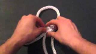 The Flower Knot by TKB.avi