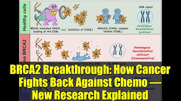 BRCA2 Breakthrough: How Cancer Fights Back Against Chemo – New Research Explained