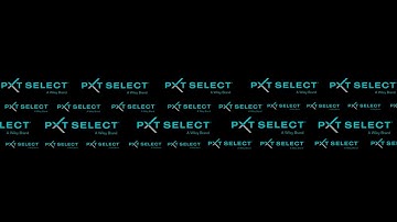 PXT Select Employee Assessment