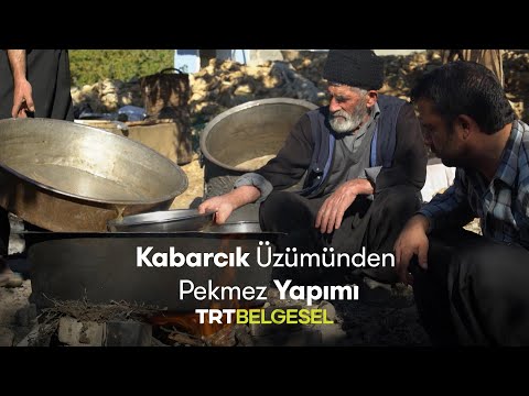 Kabarcık Üzümünden Pekmez Yapımı | Eskiden Beri | TRT Belgesel