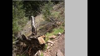 Chavez and Beaver Brook Trail Loop, Golden, Colorado, USA @Gennady107