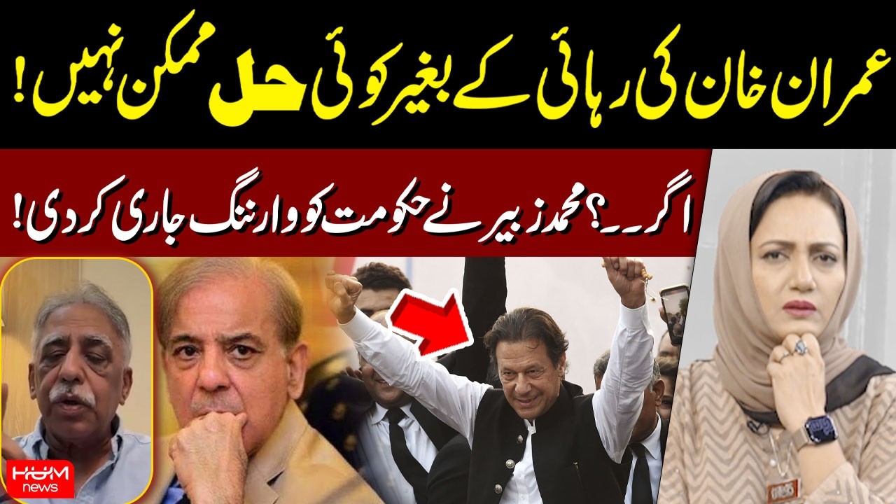Imran Khan's Bail! Muhammad Zubair Warn's to Govt | Hum News | Pakistan