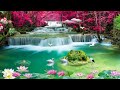 Relaxing music with bird sounds water sounds stress relief music sleep meditation music