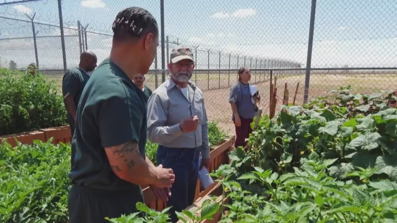 Inmates learn life skills through gardening program