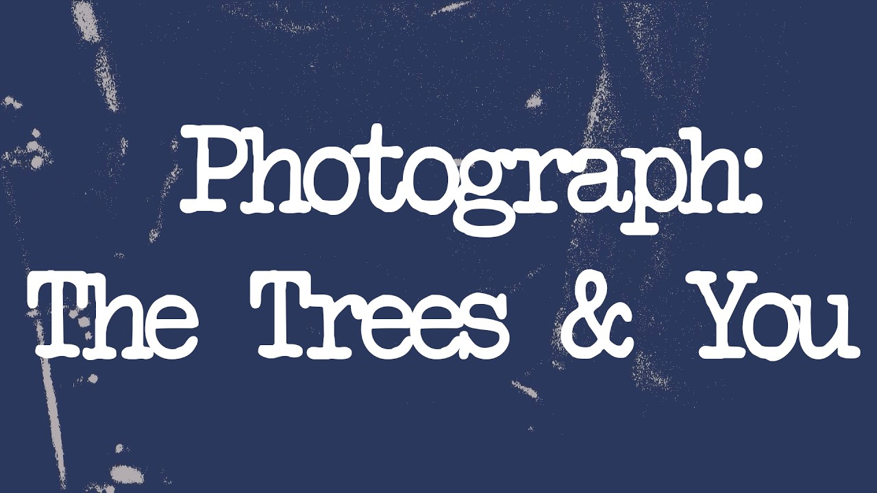 Guarda COLORCODE - Photograph: The Trees & You (Official Lyric Video) su YouTube Guarda COLORCODE - Photograph: The Trees & You (Official Lyric Video) su YouTube