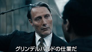 ファンタビ最新作！マッツ・ミケルセンが悪の魔法使いグリンデルバルドに！ダンブルドアに隠されたハリー・ポッター魔法ワールド最大の秘密とは？映画『ファンタスティック・ビーストとダンブルドアの秘密』特報