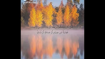 سورة البقرة الآيات ( 194 - 196 ) | تلاوة عذبة | بصوت سعيد بن راشد الشيدي